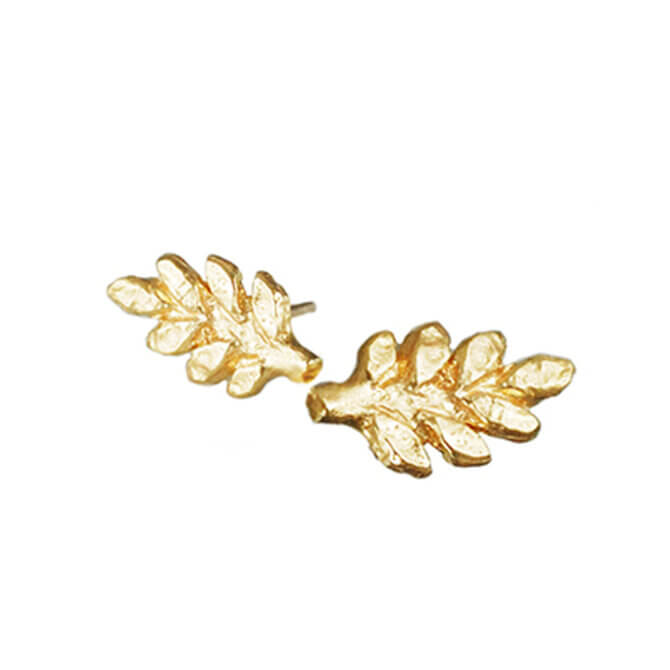 14K Gold Branches Studs