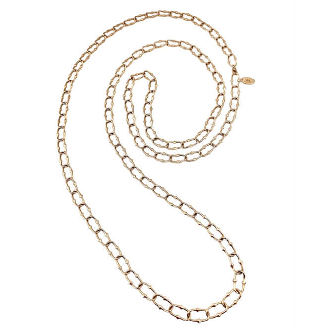 14KYG Rani Thorn Link Long Necklace